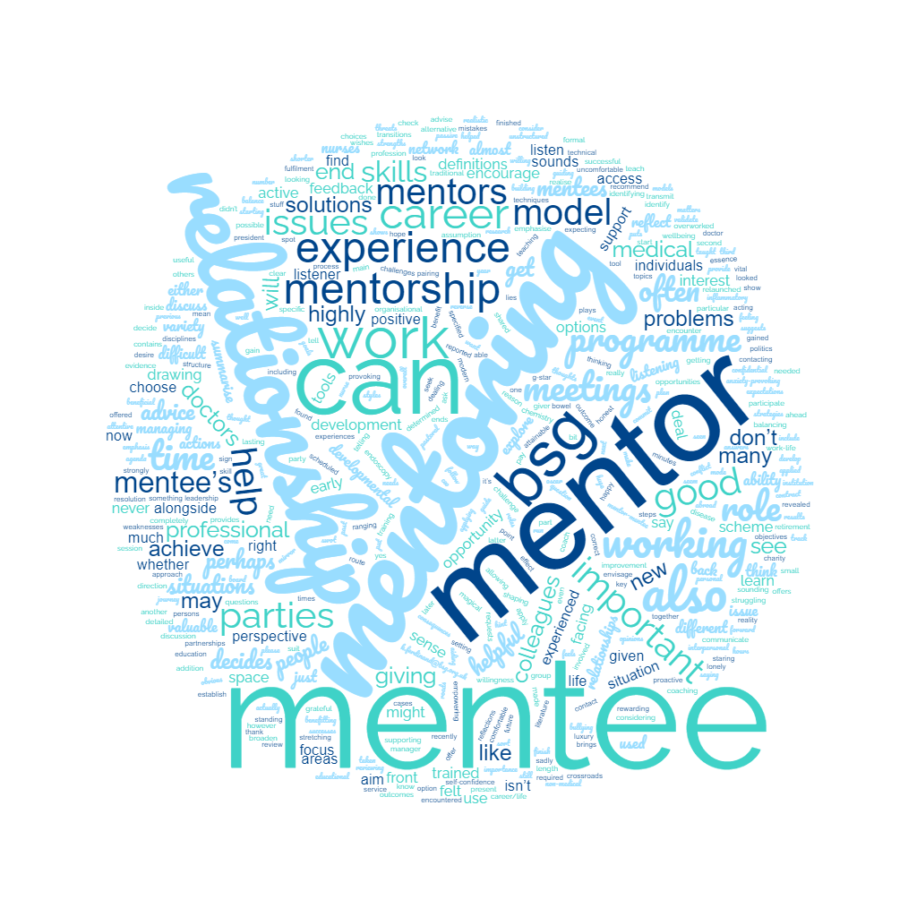 mentorship-word-cloud.png