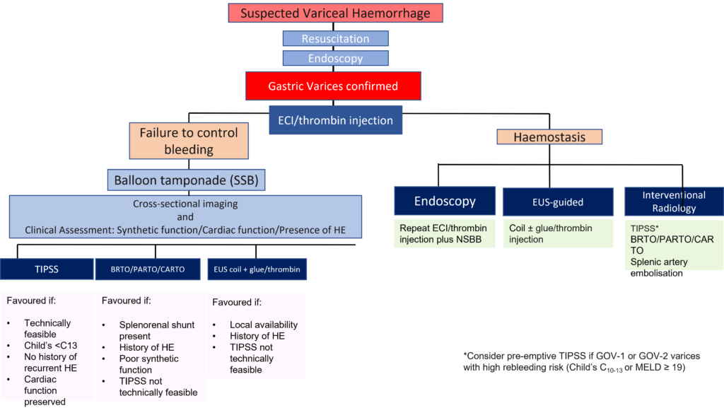 Algorithm for management of Gastric Variceal Bleeding